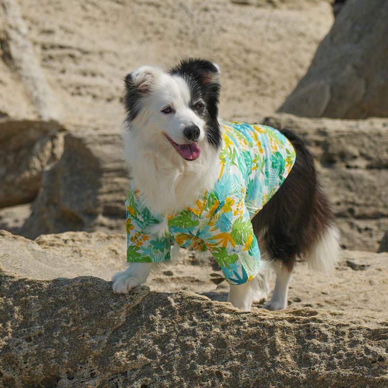 Haustier Eltern-Kind passende Hawaiihemd Kleidung leicht atmungsaktiv_voghion.com