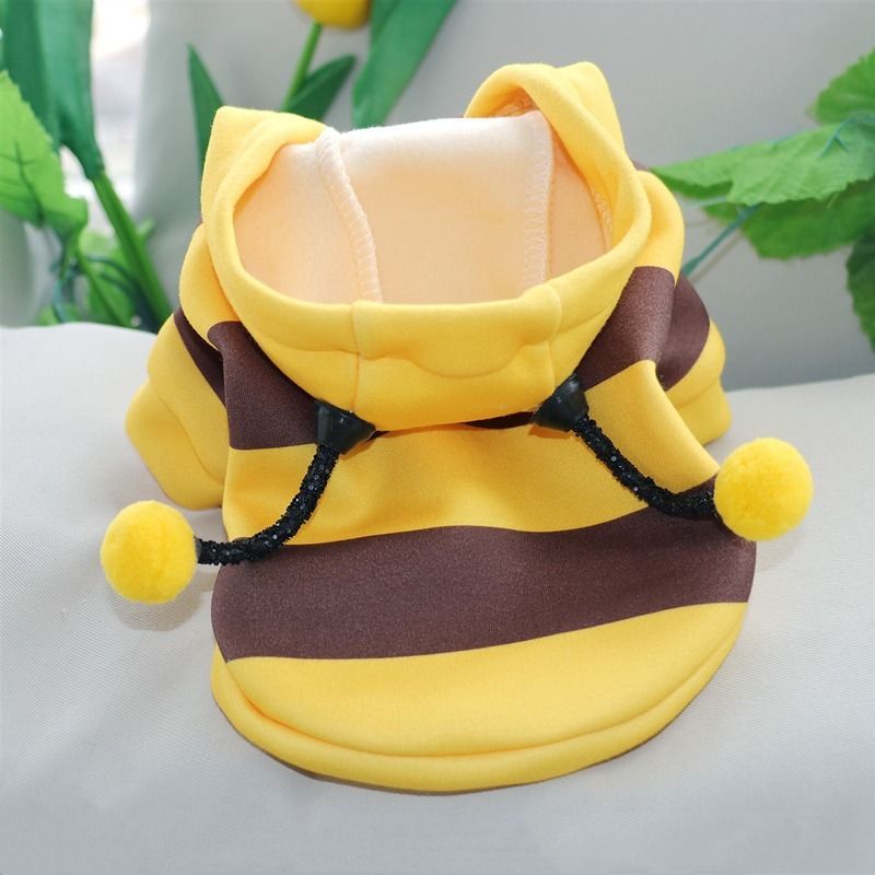 Cat Autumn Winter Warm Schnauzer Teddy Small Dog Pet Clothes Bee Transformation Outfit_voghion.com