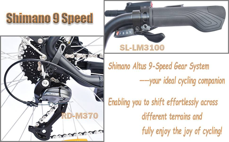 TTGOEBIKE Vélo électrique de montagne à gros pneus de 28 pouces, 36 V, 250 W, moteur central, vélo de trekking/vélo de ville à assistance électrique pour hommes et femmes_voghion.com