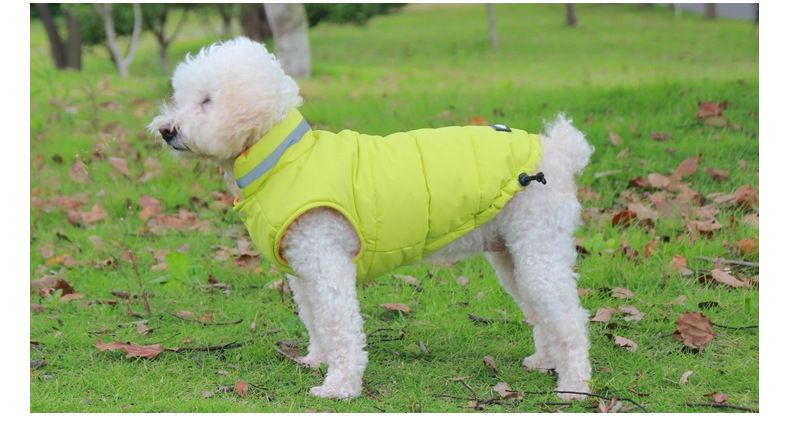 Höst- och vintertrendy valpkläder väst schnauzer corgi nallebjörn bichon frankrike pomeranian dunjacka_voghion.com