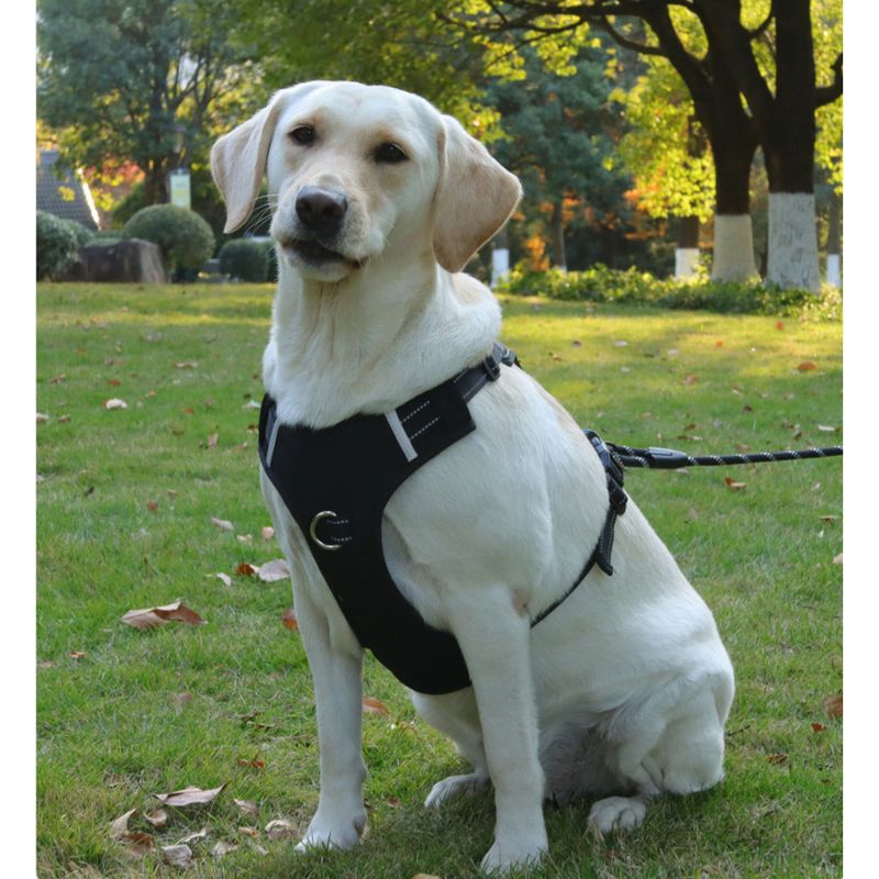 Pet Commuting Explosion-Proof Harness Vest-Style Reflective Dog Leash_voghion.com