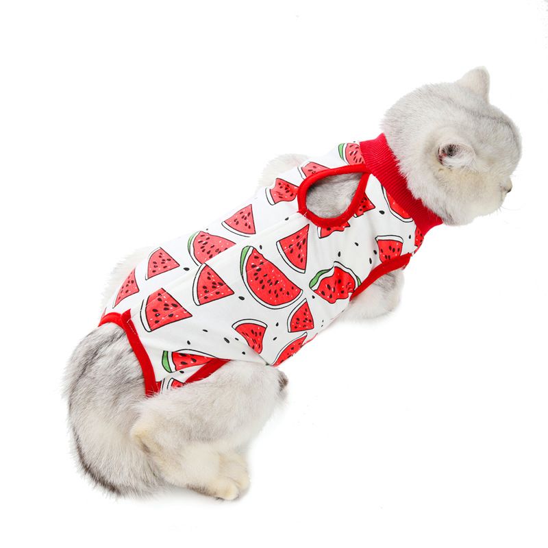 Neutering Postpartum Clothes Spring Summer New Cat Surgery Anti-Lick Weaning Suit_voghion.com