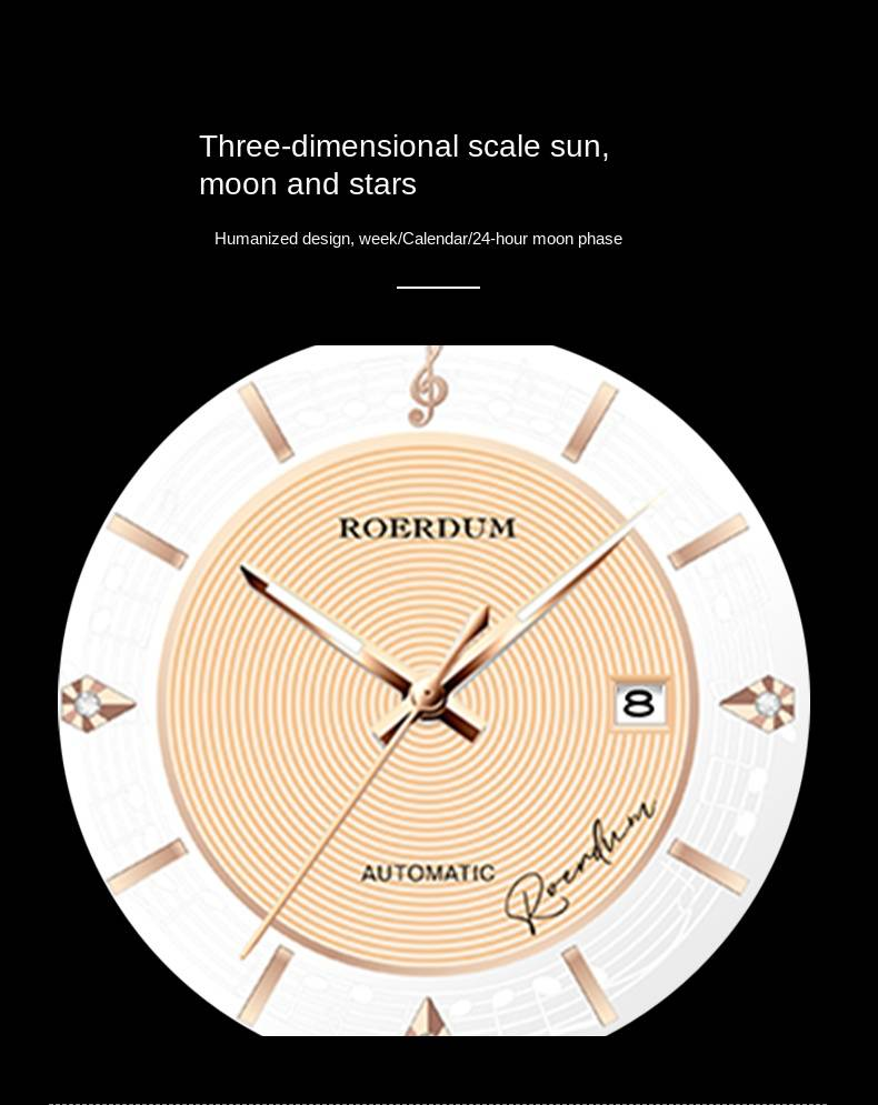 ROERDUM Music Masters Series - Beethoven - Stainless Steel Bracelet , White Dial,Luminous Display, Classic & Stylish Men's Mechanical Watch_voghion.com
