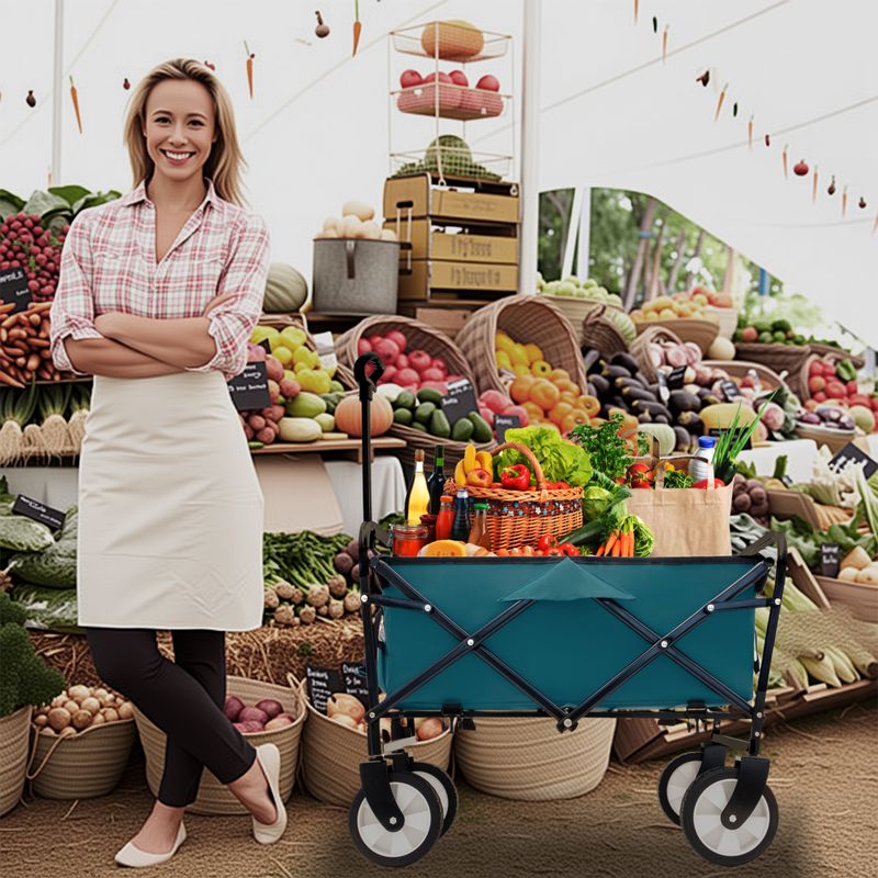 Minimeetall Multi-use Bag,Collapsible Foldable Wagon Cart Beach Wagon Heavy Duty Utility Cart Utility Wagon Grocery Cart For For Camping 3pcs Plastic Liner Bag /Cover , Cyan_voghion.com