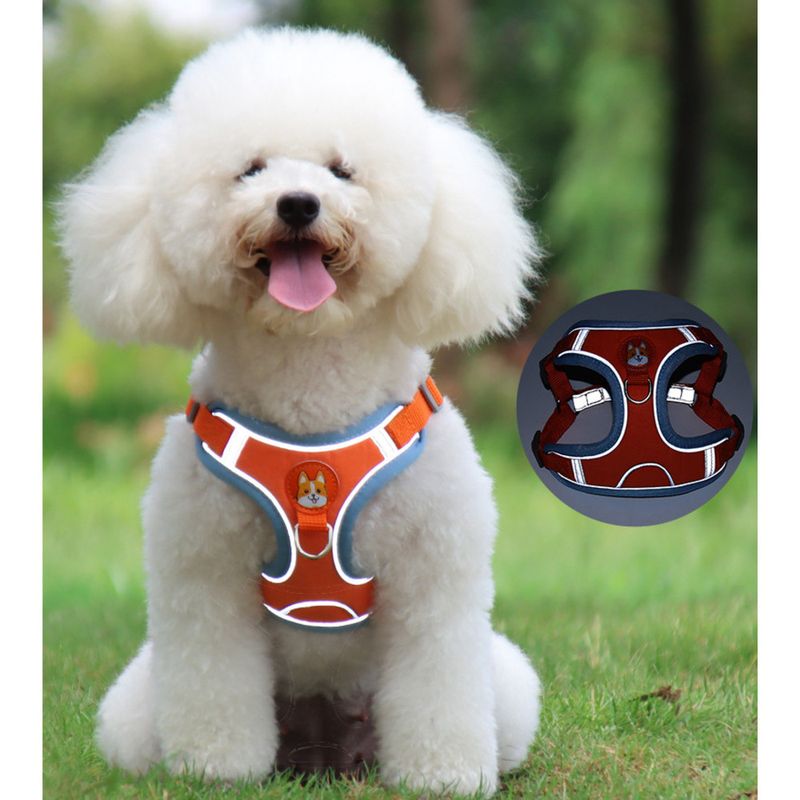 Colete Peitoral Refletivo para Cães e Gatos com Guia Respirável - Acessórios para Animais de Estimação_voghion.com