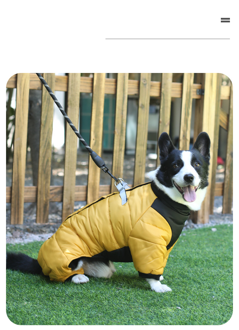 Winter Hund vierbeinigen Baumwollmantel warme Hundekleidung winddichte Welpenkleidung Haustierkleidung_voghion.com