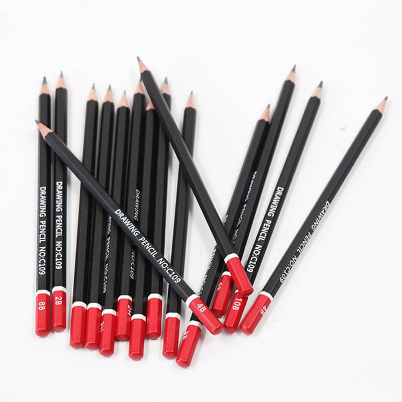 30-Piece Sketching Set With HB & 2B Pencils, Charcoal Pencils, And Metal Case – Perfect For Artists & Students_voghion.com