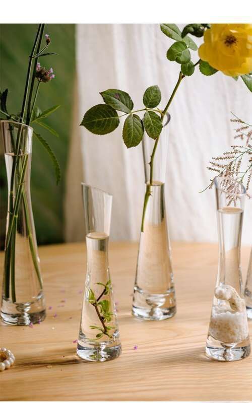 【 46000 People Collected 】 Juhan Nordic Ins High Beauty Arrangement Water Nourishing Small Vase Glass Transparent_voghion.com