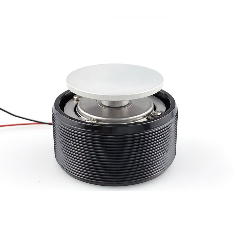 2*25W Audio Tragbare Resonanz Vibration Lautsprecher Bluetooth-Kompatibel DIY Stereo Klasse D Power Verstärker Subwoofer HiFi_voghion.com