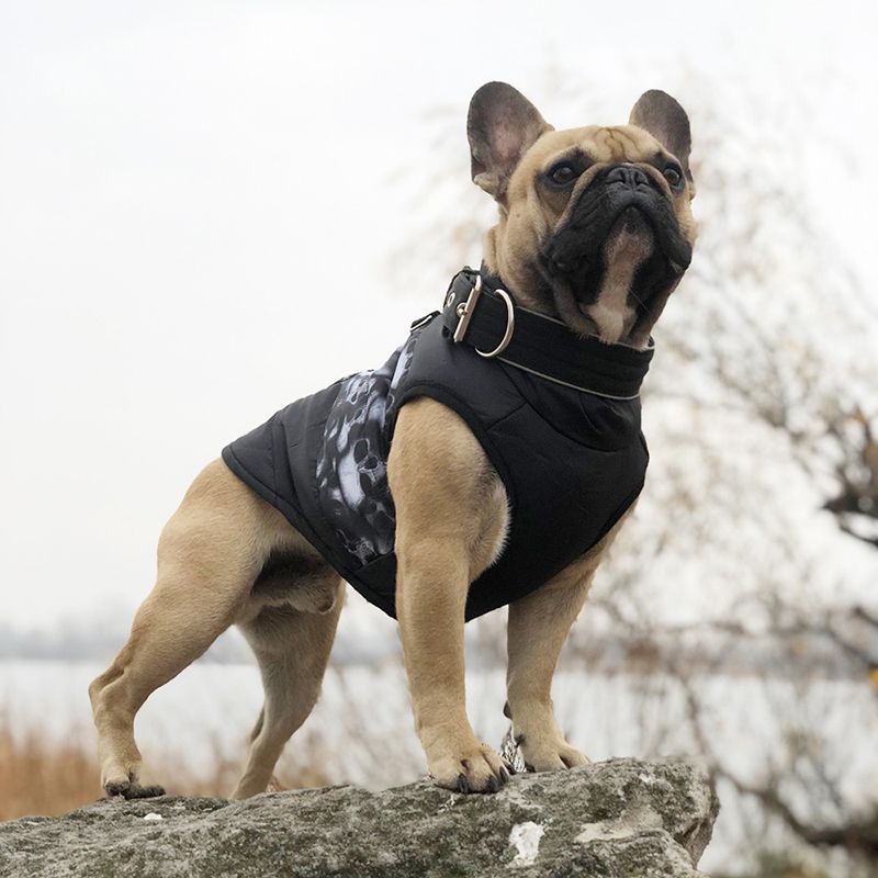 Waterproof Insulated Vest CDDMPET For Dogs By PawParty Store_voghion.com