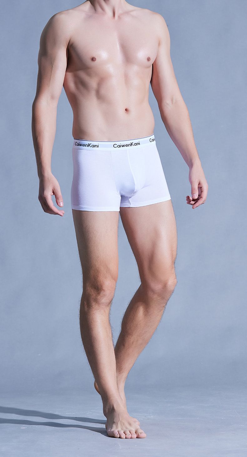 Men's Breathable Cotton Modal Underwear Set - Anti-Bacterial, Seamless, Mid-Rise Boxer Briefs With Graphene Technology_voghion.com
