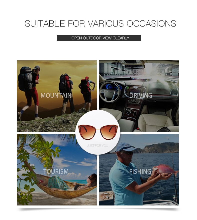 Women's Retro Cat-eye Sunglasses Personality Ins Style Plastic Frame Glasses Leopard Color_voghion.com