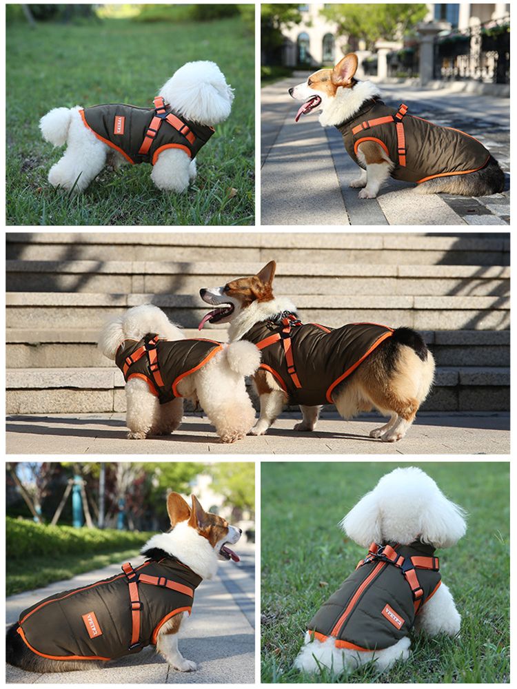 Giacca impermeabile CDDMPET per cani di piccola taglia di PawParty Store_voghion.com