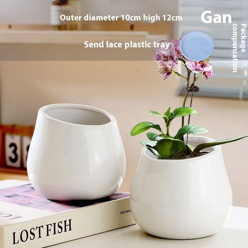 Keramik-Blumentopf mit Untertasse – Stilvolles Wohndekor für Sukkulentenpflanzen – Modernes und elegantes Design_voghion.com