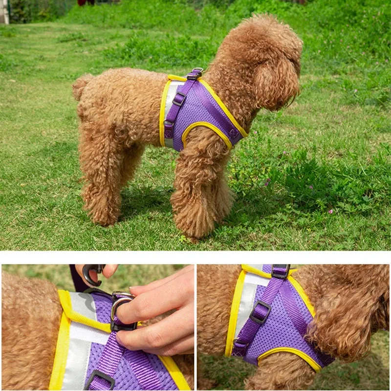 Reflective Dog Leash, Vest Small Medium Dogs, Puppies, And Cats, Suitable For Walks By PawParty Store_voghion.com