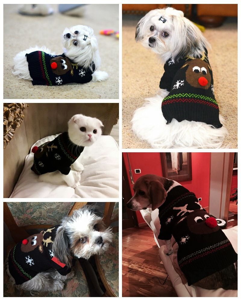 Christmas pet Clothing Red Nose Deer pet sweater Poodle Teddy Small medium large dog sweater_voghion.com