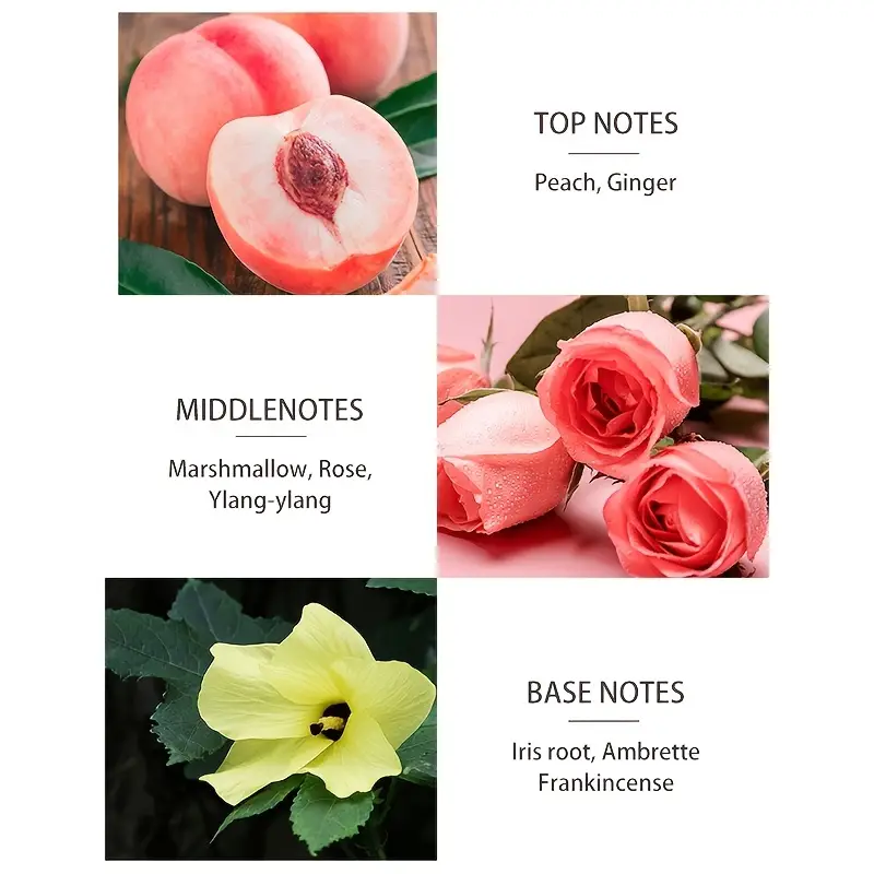 Langanhaltendes Blumen- und Fruchtparfüm für Damen – 50 ml Geschenkbox, Eau de Parfum Spray_voghion.com
