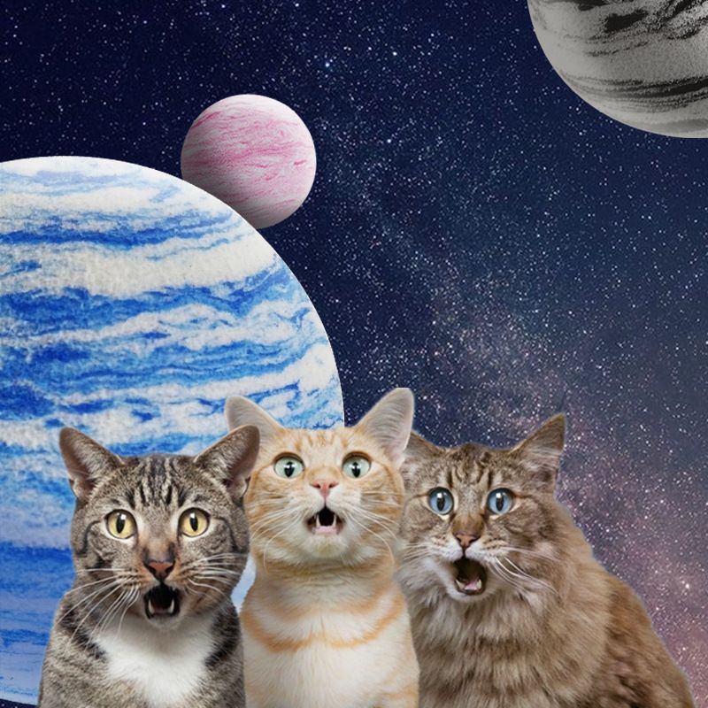 Balle texturée pour chats Galaxy Cat Self Hi de PawParty Store_voghion.com