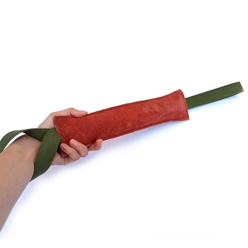 Forniture per animali domestici Bastoncino per addestramento al morso Bastoncino per la pulizia dei denti del cane_voghion.com