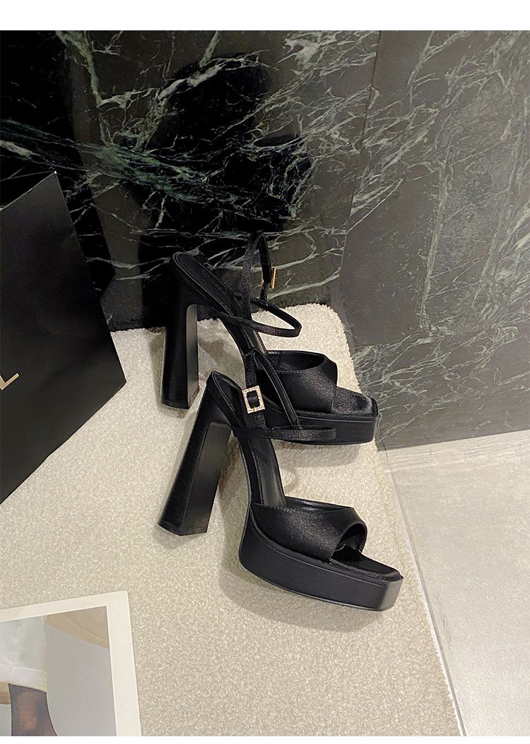 2025 Spring And Summer New Open-toe Square Head With Buckle Simple With Rough Heels Fashion Hundred With Exquisite_voghion.com