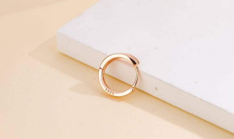 Double layer zircon earrings for women, simple and versatile, no need to take them off when sleeping, trendy earrings, diamond earrings_voghion.com