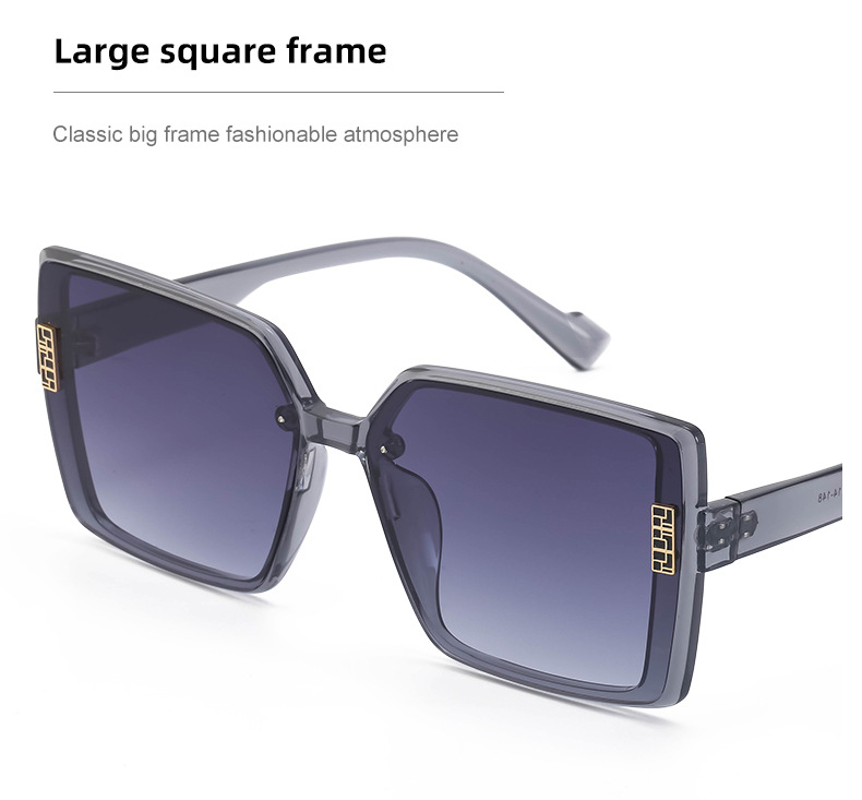 2022 New Fashion TR polarizzati occhiali da sole con montatura grande occhiali da sole coreani di fascia alta da donna all'ingrosso transfrontaliero_voghion.com