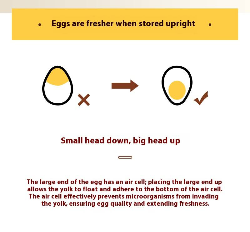 Contenedor de huevos de doble capa, organizador para refrigerador con bandejas extraíbles, huevera de plástico apto para uso alimentario para 12-60 huevos, esencial para ahorrar espacio en la cocina._voghion.com
