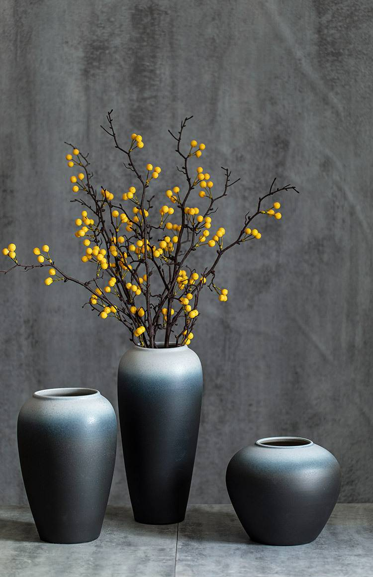 Vase élégant en céramique noir et blanc – Décoration hydroponique pour salon, bureau et chambre_voghion.com