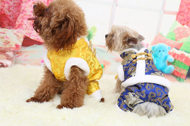 Vêtements pour chiens de compagnie Explosions Pet Tang Suit Rich Flower Tang Suit quatre pieds plus des vêtements pour chiens rembourrés en velours_voghion.com