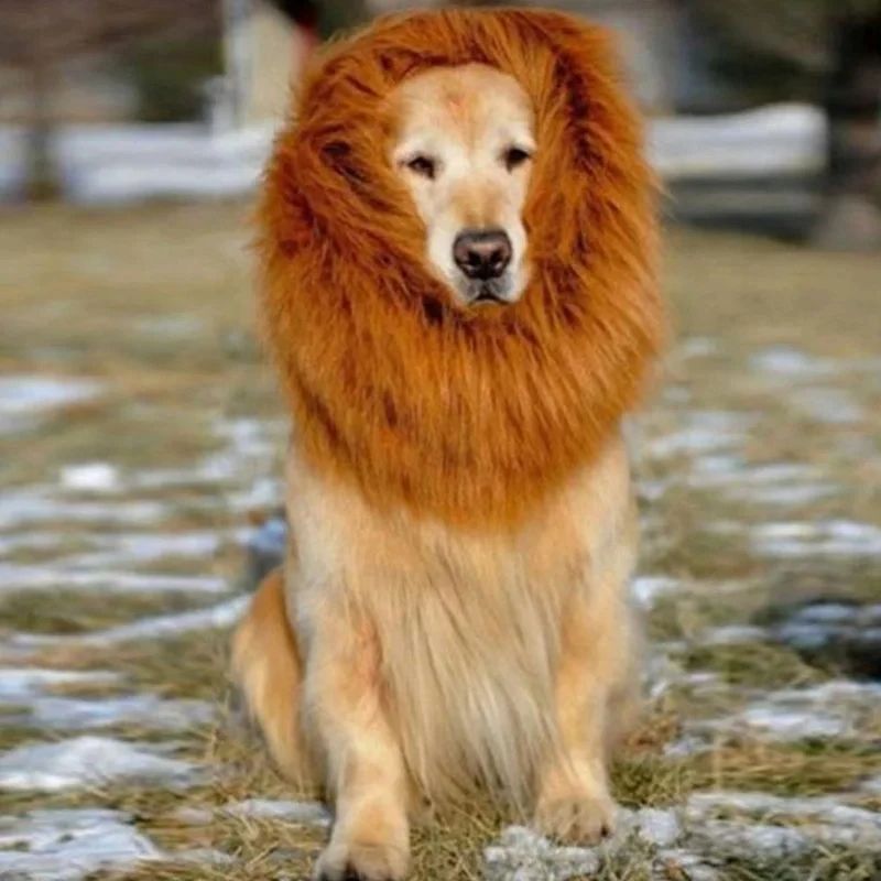 Niedliche Cosplay-Kleidung für Hunde, Löwenmähne für Hundekostüme, realistische Löwenperücke für mittelgroße bis große Hunde mit Ohr-Haustierzubehör_voghion.com