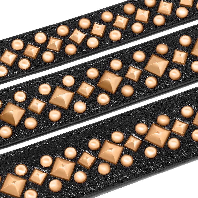 Didog XL Padded Leather Dog Collar_voghion.com