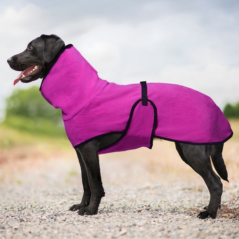 Pullover Pet Fleece Golden Retriever Thickened Warm Hooded Solid Color Dog Clothes_voghion.com