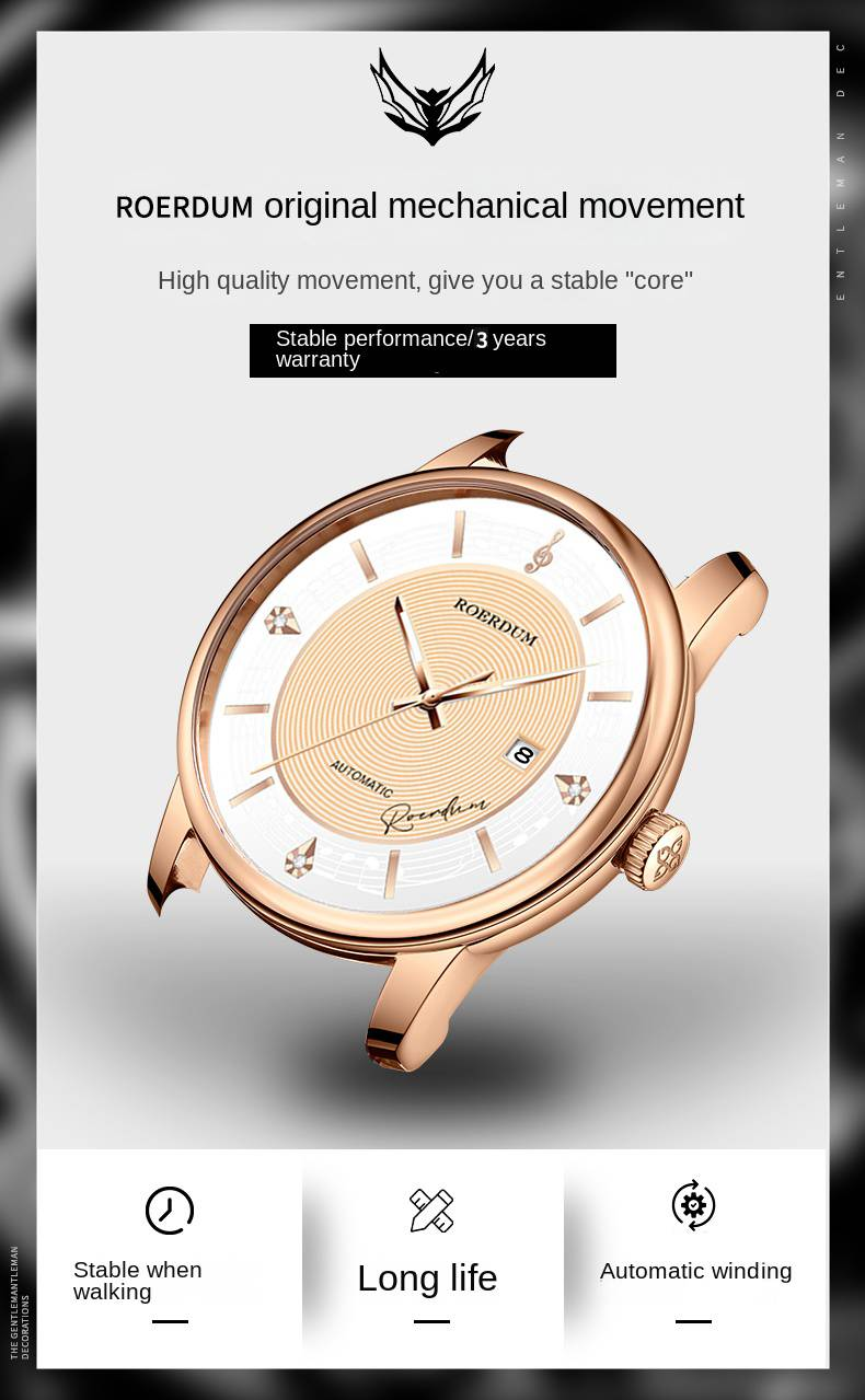 ROERDUM Music Masters Series - Beethoven - Stainless Steel Bracelet , White Dial,Luminous Display, Classic & Stylish Men's Mechanical Watch_voghion.com