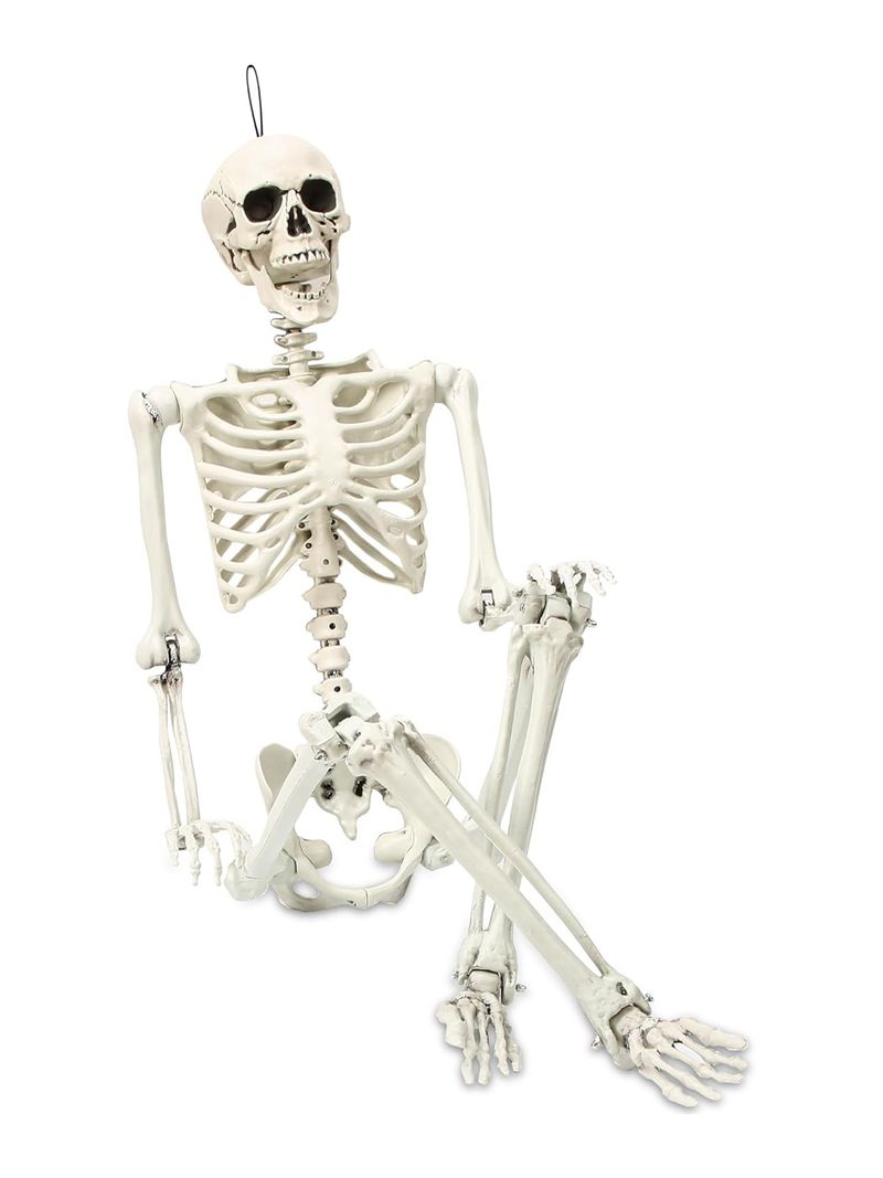 YOUEN Gerçekçi Ürkütücü İskelet Cadılar Bayramı Dekorasyonu | 40 cm, 90 cm, 165 cm Dayanıklı Plastik İskeletler_voghion.com