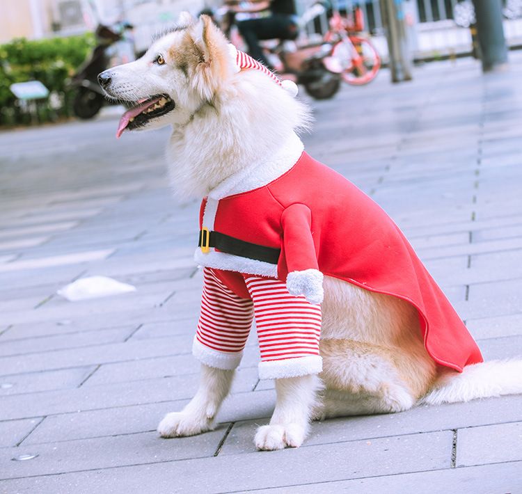 Weihnachten Große hund Katze Santa Claus kleidung hund heimtierbedarf pelzigen lustige zwei füße goldene haar transformation_voghion.com
