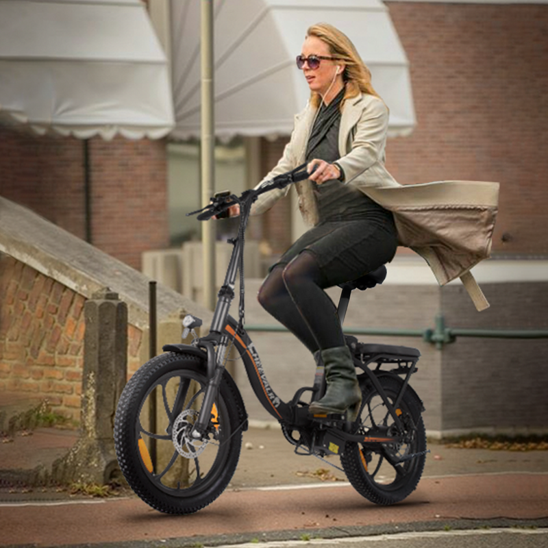 Cheevalry C16 20'' Elcykel 250W 48V 16AH E-cykel Fällbar stadscykel Vuxna_voghion.com