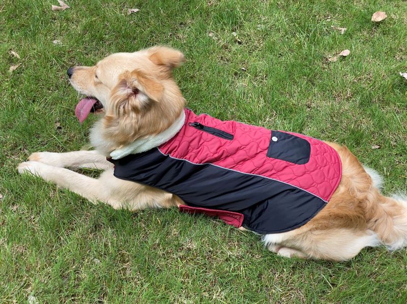 Pocket new pet clothes autumn and winter dog clothes vest cotton coat double sided wearable dog clothes coat clothing_voghion.com