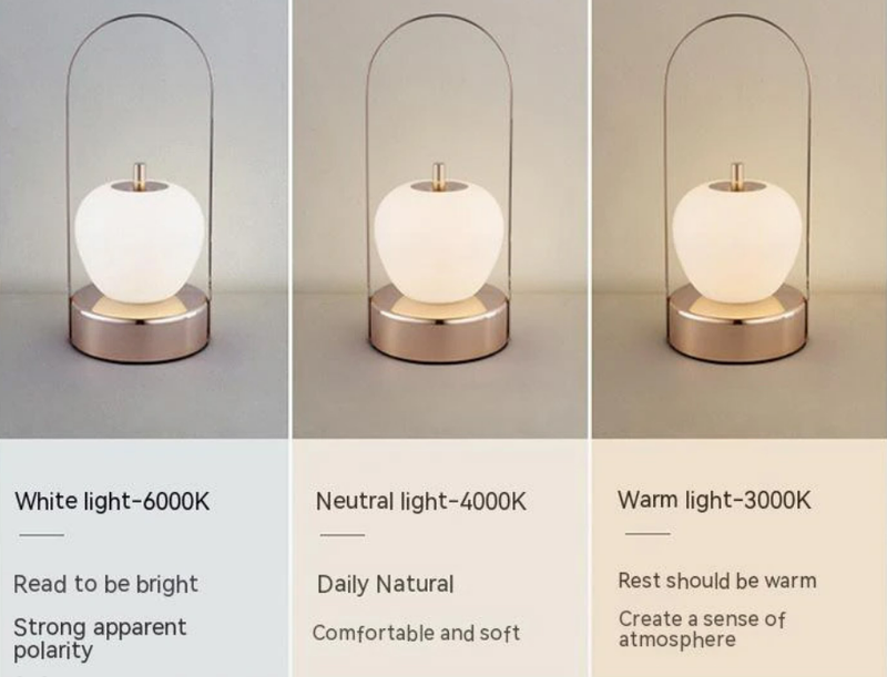 Luce notturna portatile Luce per atmosfera esterna Comoda luce da tavolo decorativa per ricarica Luce notturna regalo creativa_voghion.com