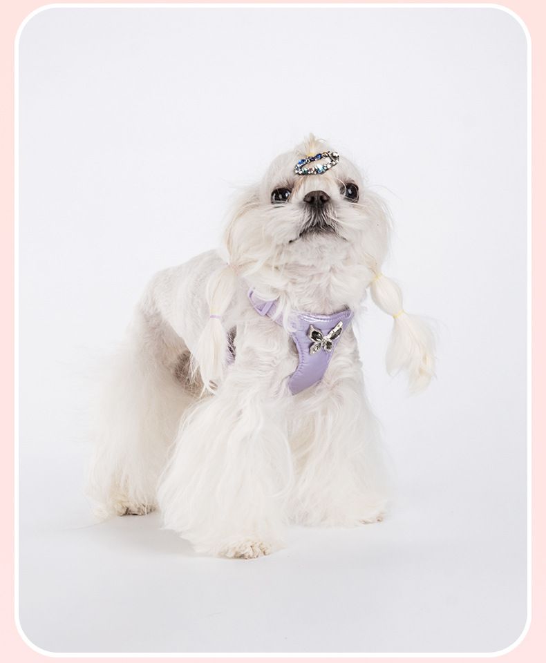 New Small Easy Walking Metal Bow Dog Leash Exquisite Pet Harness_voghion.com