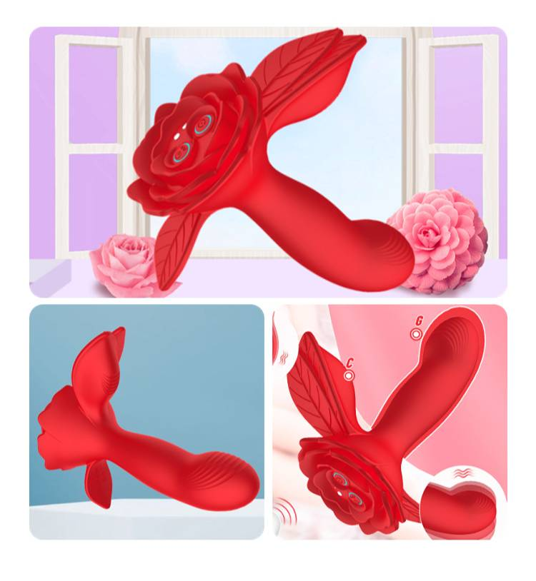 Aurora 1st Generation APP Wireless Remote Control Female Wearable Vibrator Masturbator_voghion.com