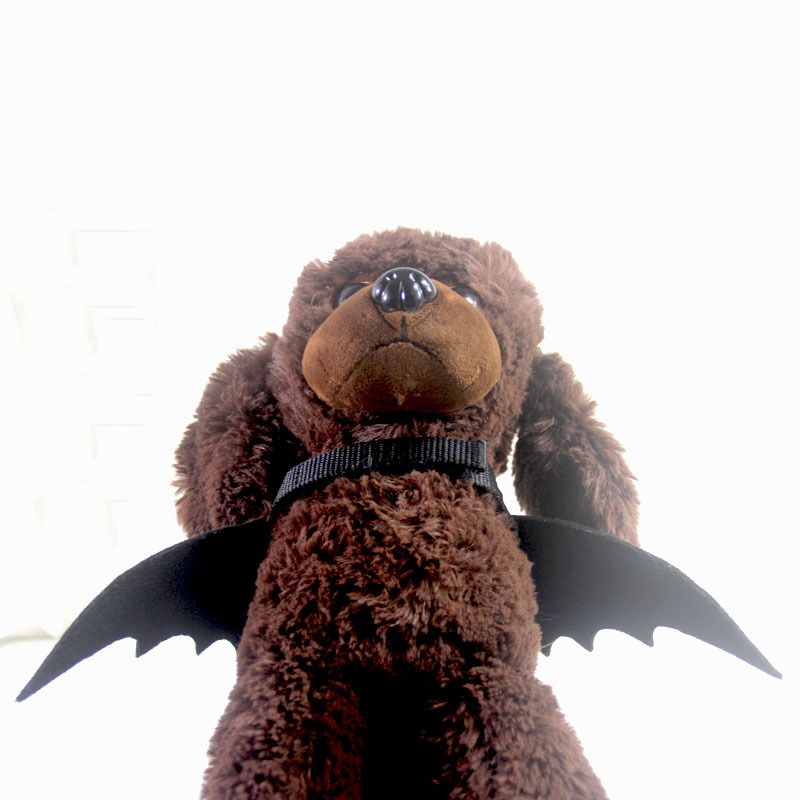 Ali di pipistrello trasformabili, set di accessori per animali domestici, travestimenti per Halloween_voghion.com