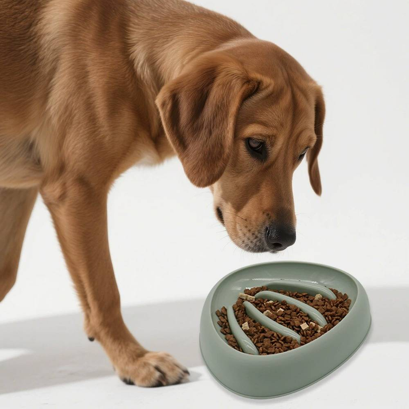 Pet Supplies Dog Slow Food Bowl_voghion.com