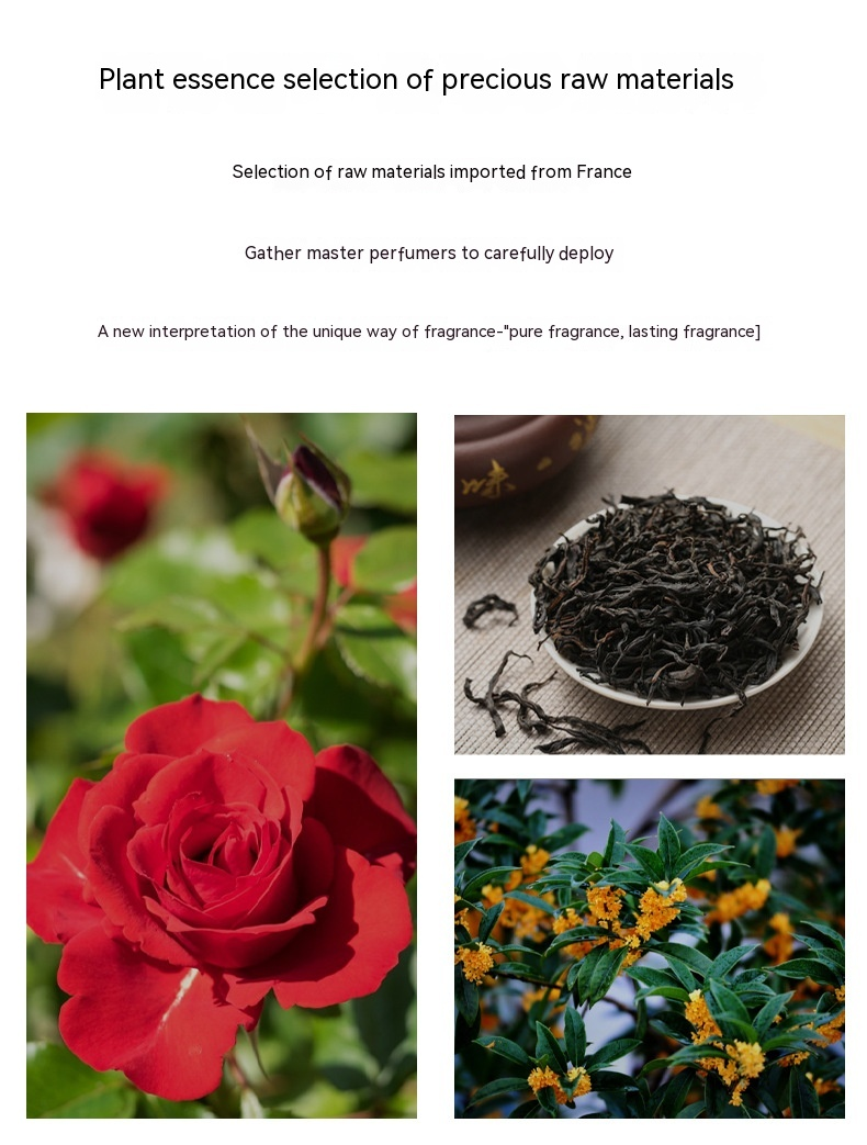 Neues heißes Parfüm „A Round of Rose“-Damenparfüm, anhaltender Duft, blumiger Ton, hohe Kälte, kleine, beliebte Geschenkbox zu fairen Preisen in Vietnam_voghion.com