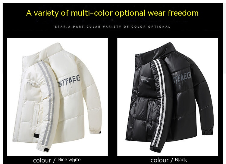 Piumino da uomo nuovo autunno e inverno 2024 caldo piumino d'anatra bianco di tendenza con colletto in piedi ispessito_voghion.com