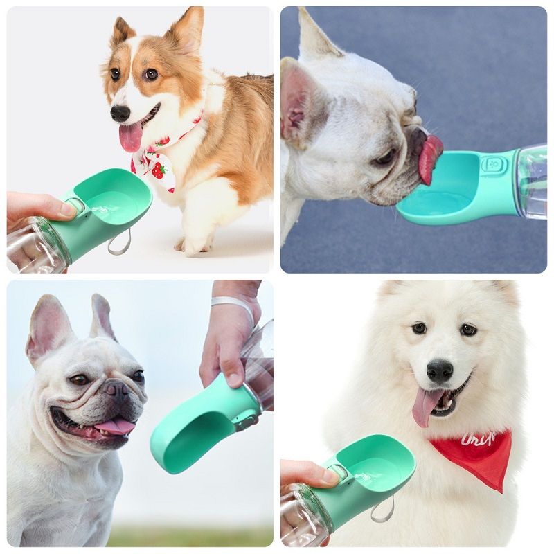 Bouteilles d'eau pour animaux de compagnie, gamelles, articles de voyage, fournitures pour chiots, carlins, chihuahuas, par PawParty Store_voghion.com