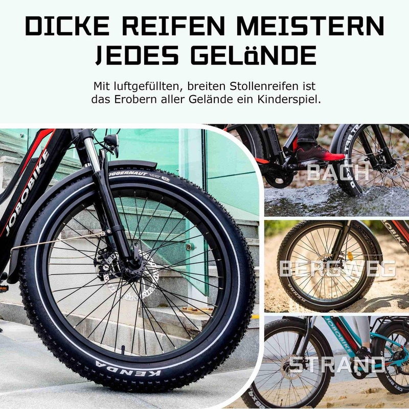 JOBOBIKE Robin 26'' Elektrofahrrad für Erwachsene 250W Bafang Motor 48V13AH_voghion.com