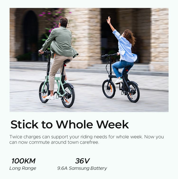 Bicicletta elettrica pieghevole ENGWE P20 da 20 pollici, motore con sensore di coppia da 250 W, batteria da 36 V e 9,6 Ah, freni a disco idraulici, bicicletta elettrica_voghion.com