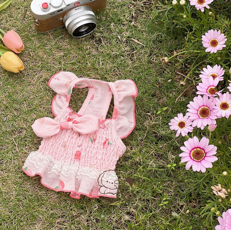 FeidianPet Spring Summer Pet Ins Style Peach Fresh Double Layer Lace Short Skirt Small Dog Cat Clothing_voghion.com