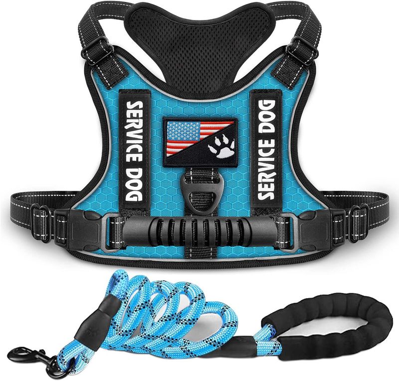New Explosion-Proof Shock Absorption Night Vision Reflective Pet Chest Harness Vest-Style Leash_voghion.com