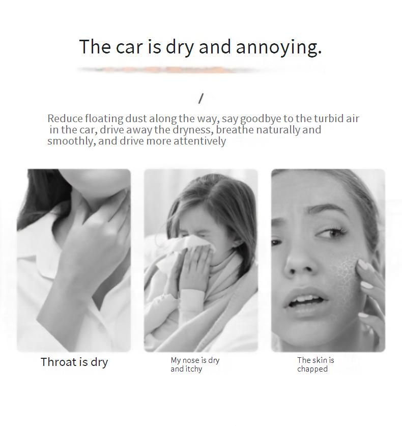 Portable USB Humidifier With Aromatherapy Function - 260ml Small Humidifier For Home, Office, Bedroom, Desktop - Ultra Quiet (Under 36dB)_voghion.com